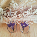 Boucles d'oreilles fleurs séchées Gypsophiles violettes
